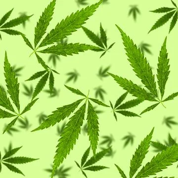 The effect of falling cannabis leaves on a light green background Stock Illustration