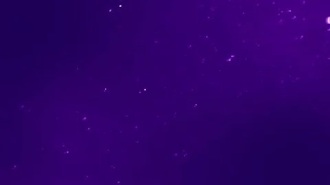 The effect of the falling in the wind particles, dust, powder, in the backg.. Stock Footage 250832315