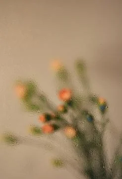 The effect of fogged glass, through which you can see the silhouettes of fl.. Stock Photos