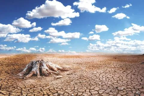Effect of global warming The land is broken and dry, the rain does not fall i Stock Photos