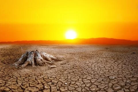 Effect of global warming The land is broken and dry, the rain does not fall i Stock Photos