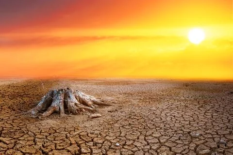 Effect of global warming The land is broken and dry, the rain does not fall i Stock Photos