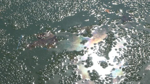 The effect of light on the ice 스톡 동영상 129709891