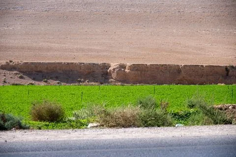 Effect on nature and increase desertification on agriculture due to global .. Stock Photos