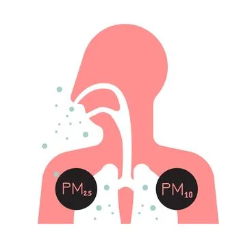 Effect of Particulate Matter PM 10 and 2.5 Pollution on Human Body - Icon Stock Illustration