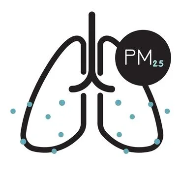 Effect of Particulate Matter PM 10 and 2.5 Pollution on Human Lungs - Icon Stock Illustration