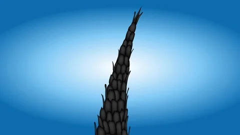 The effect of processing your hair vector , infographic , bad turn to good Stock Footage 85969888