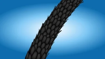 The effect of processing your hair vector , infographic , bad turn to good Stock Footage 85969917