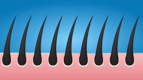 The effect of processing your hair vector , infographic , healthy hair Stock Footage 133119735