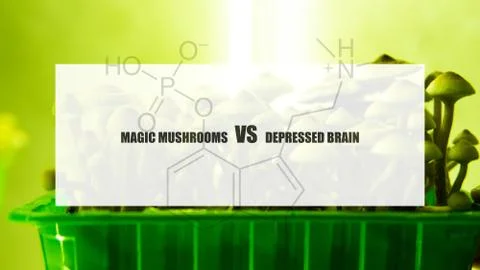 The effect of psilocybin on the mental state of a sick person. Treatment of d Stock Photos