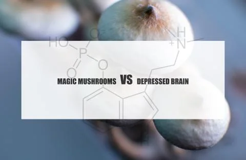 The effect of psilocybin on the mental state of a sick person. Treatment of d Stock Photos