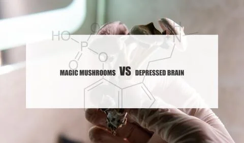 The effect of psilocybin on the mental state of a sick person. Treatment of d Stock Photos