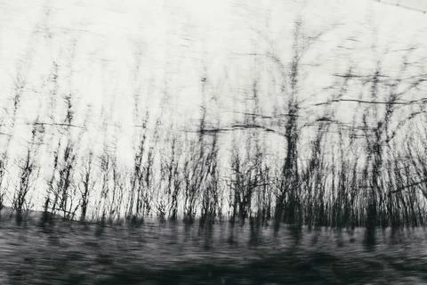 The effect of running through the forest, first-person view. First-person vie Stock Photos