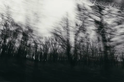 The effect of running through the forest, first-person view. First-person vie Stock Photos