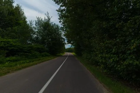 The effect of speed on the road and blurred objects. View of the road. 스톡 사진