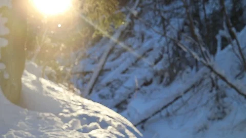 The effect of steam on the solar disk. Winter sunny day in the forest Stock Footage 124456006