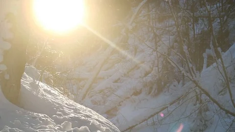 The effect of steam on the solar disk. Winter sunny day in the forest Stock Footage 124456149