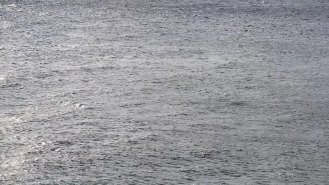 Effect of strong current and gusts of wind on the water Stock Footage 83885935