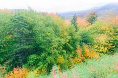 Effect of zooming in on fall foliage Stock Photos