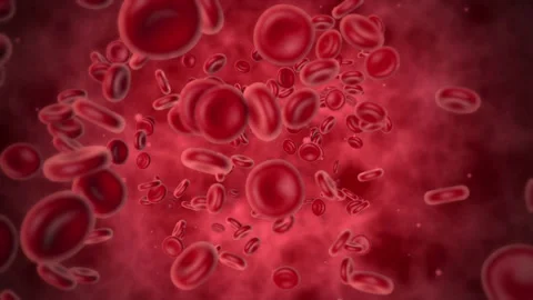 Effective Blood Cells_4K Video stock 239224813
