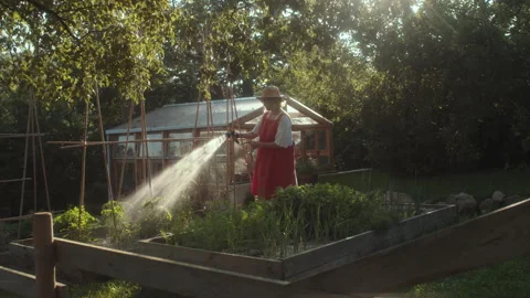 Effective garden hose watering techniques for healthy plants and vegetables Stock Footage 319940500