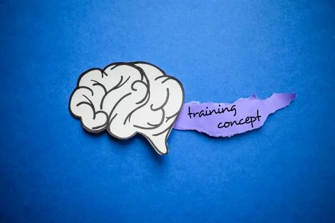 Effective Training Concept for Brain Power and Professional Skill Development Stock Photos