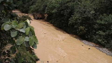 The effects of deforestation through palm oil in Sarawak Borneo Malaysia Stock Footage 95347121