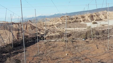 The effects of global warming, heat and drought lead to the ruin of farms Vídeos de archivo 126031712
