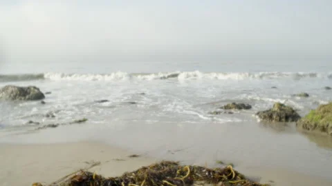 Effects lens view of Pacific Ocean waves breaking on beach with seaweed Stock Footage 219906498