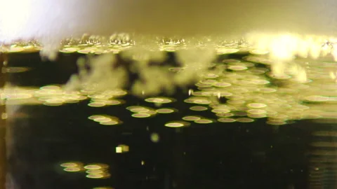 The effervescence of beer 2 - Full HD - ProRes Stock Footage 160982170