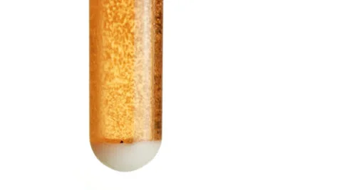 Effervescent Reaction Stock Footage 22995050