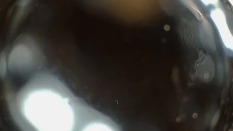 Effervescent Vitamin C Tablet Dissolving in Water Stock Footage 97762057