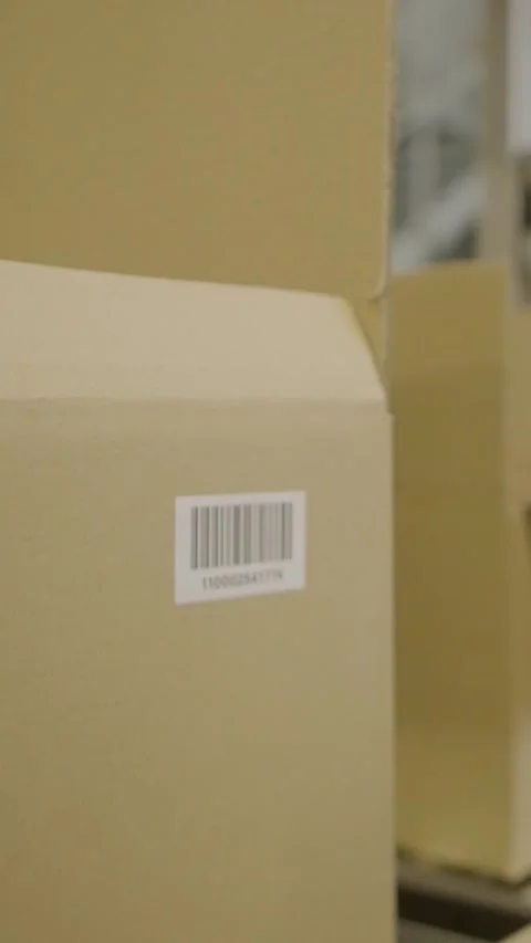 Efficient Barcode Scanning in Warehouse Logistics and Inventory Management Stock Footage 320149444