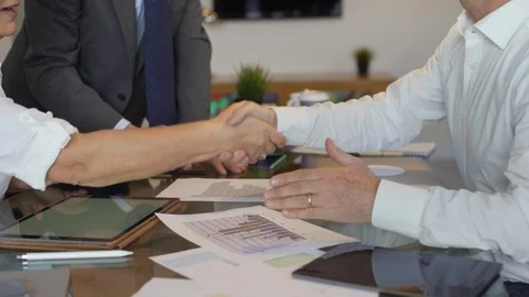 Efficient business team concluding an agreement with a handshake. Stock-Footage 95151074