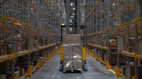 Efficient Logistic Cargo Transport with Forklift in Vast Warehouse Stock Footage 241585276