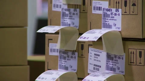 Efficient Parcel Packaging and Labeling in a Warehouse Setting Stock Footage 316711105