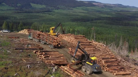 Efficient Timber Handling: Aerial View of Forwarder at Work Stock Footage 246720309