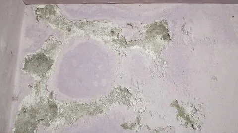 Efflorescence causing flaking of paint Foto stock