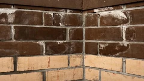 Efflorescences on brickwork, plaque on wall and bricks. Close-up of an old brick Photos