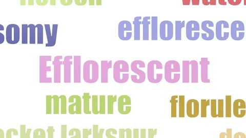 Efflorescent Tag Cloud Animated Isolated 動画素材 103558811
