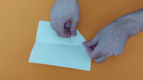 Effortless Folding: Create a Soaring Paper Plane Vidéo 305540420