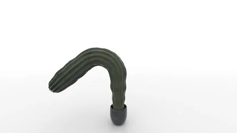 Effortlessly and smoothly, a long green cactus tilts right and left while Stock Footage 149000209