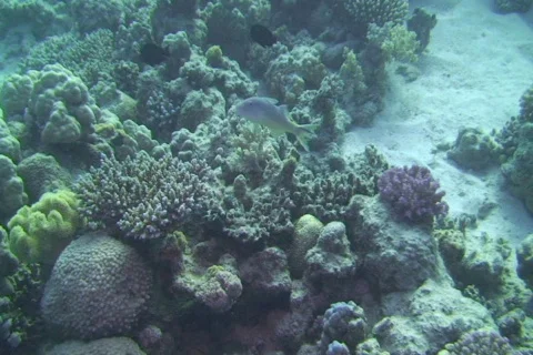 EG0066 Stock Footage 670990