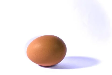 Egg (1 of 1) Stock Photos