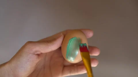 Egg 1 Stock Footage 268437273