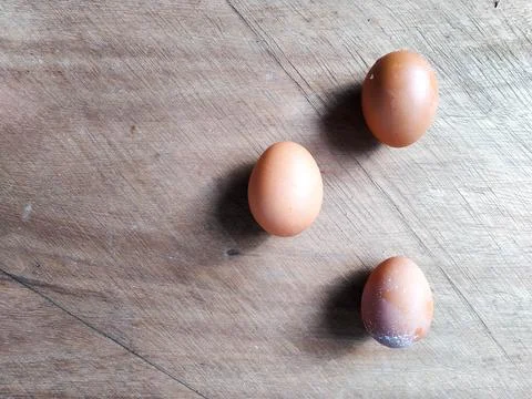 Egg 2 Stock Photos