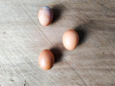 Egg 3 Stock Photos