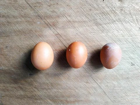Egg 4 Stock Photos