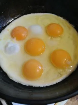The egg with 5 yolks Stock Photos