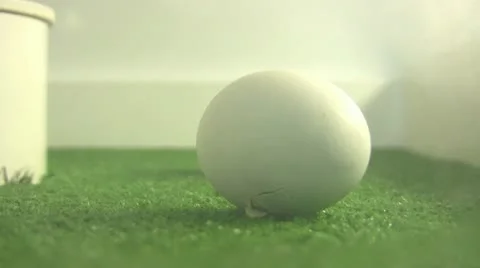 Egg about to hatch Video stock 12315442